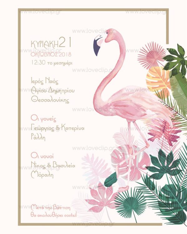 Θεματική βάπτιση με Flamingo