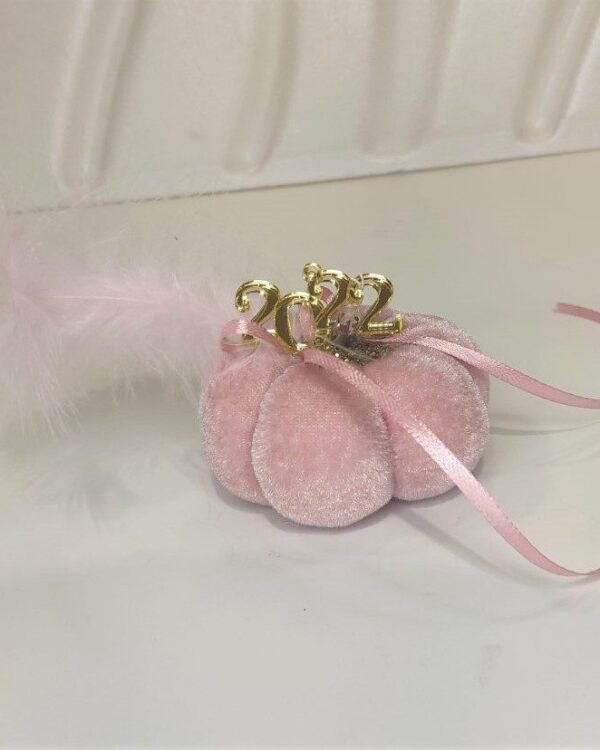 Γούρι 2022 μικρή βελούδινη κολοκύθα, διακοσμημένο με μεταξωτό κορδόνι και/ή φούντα. Ιδανικό δώρο για το σπίτι ή το γραφείο