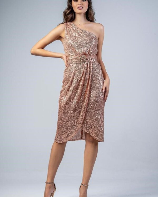 Midi φόρεμα σε σομόν