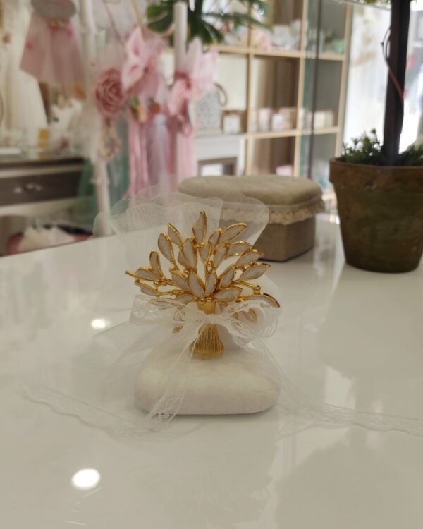 mpomponiera dentro zwis