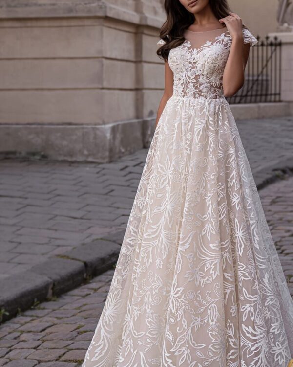 nifiko kentita sxedia