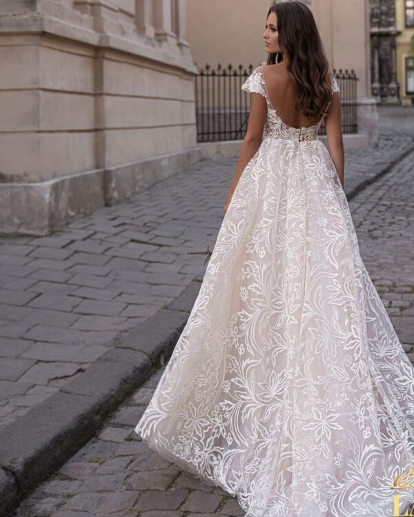 nifiko kentita sxedia