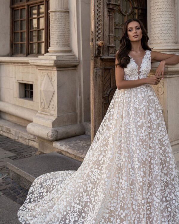 nifiko kentita sxediaaaa