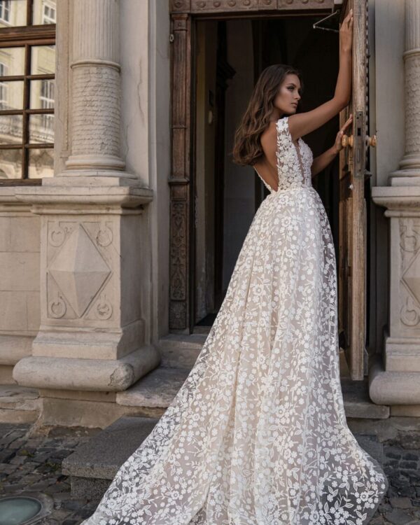 nifiko kentita sxediaaaa