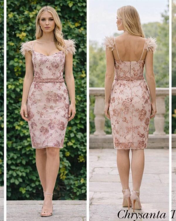 Κοντό φόρεμα με δαντέλα & πούπουλα στους ώμους